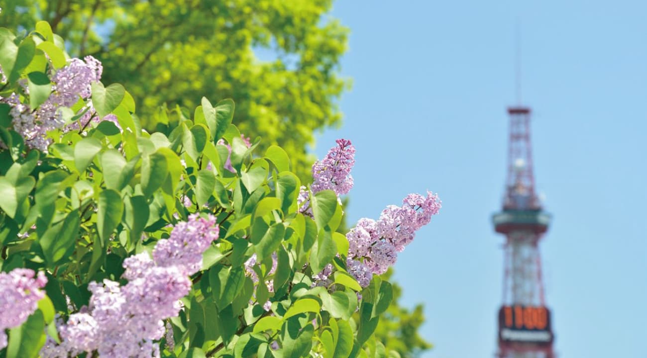 自然と都市の調和