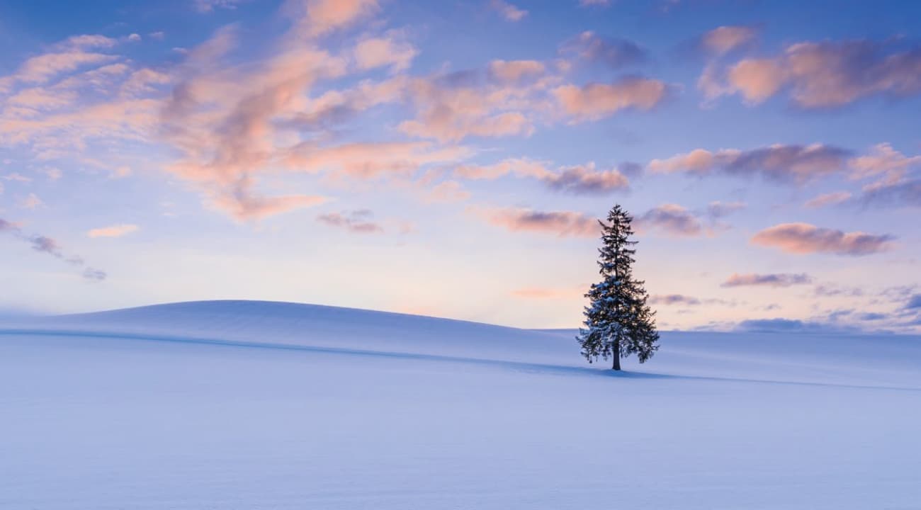 サステナビリティ